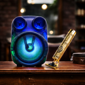 COMBO  SPEAKER + PATILLERA